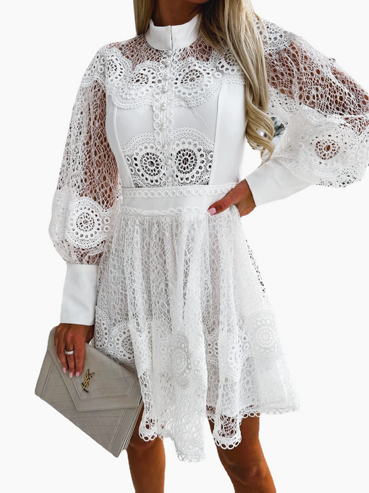 Elegant Lace A-Line Puff Sleeve Dress